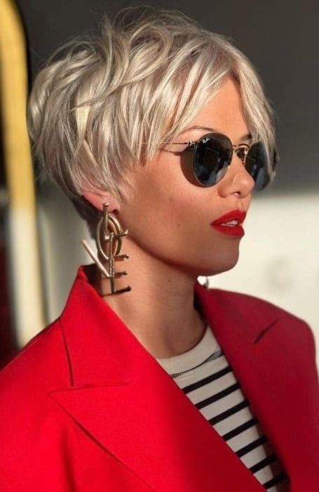 Textured Pixie Bob