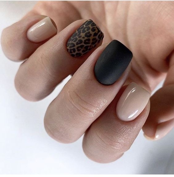 Timeless Touch: Leopard Accents on a Neutral Palette