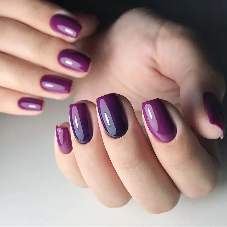 Plum Purple