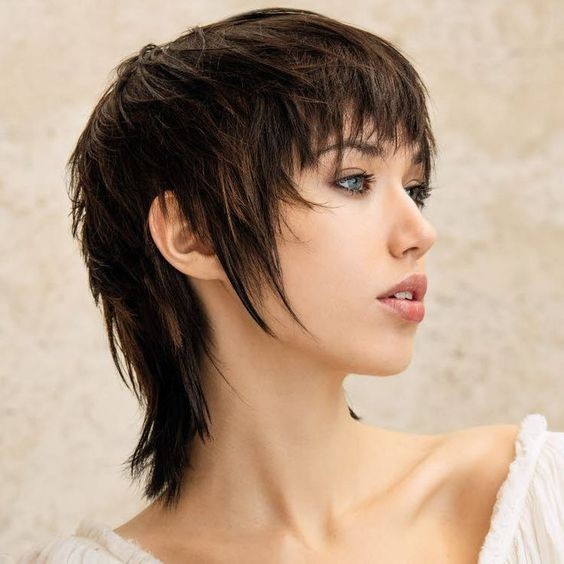 The Sophisticated Cut: Sleek and Chic Wolf Cut