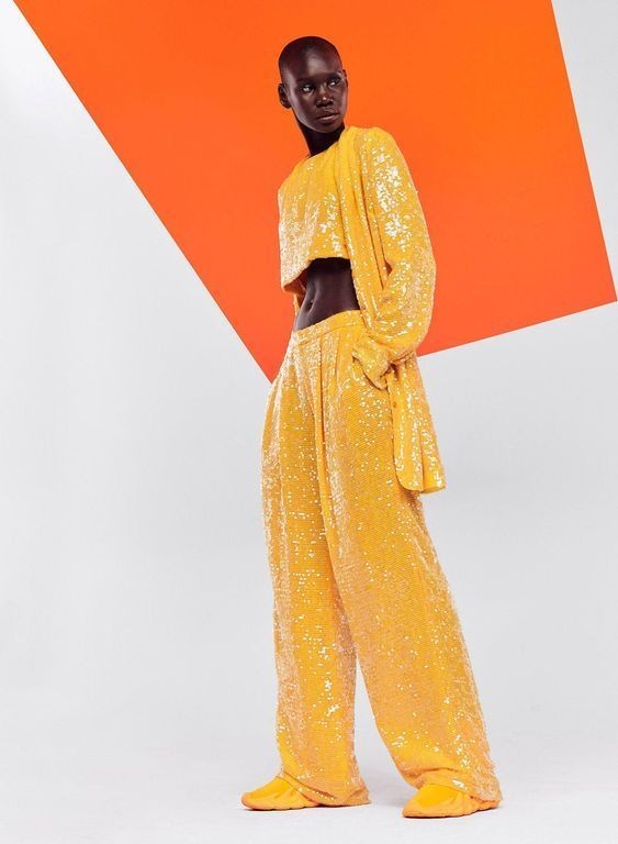 Citrus Splash: Sunshine in a Silhouette