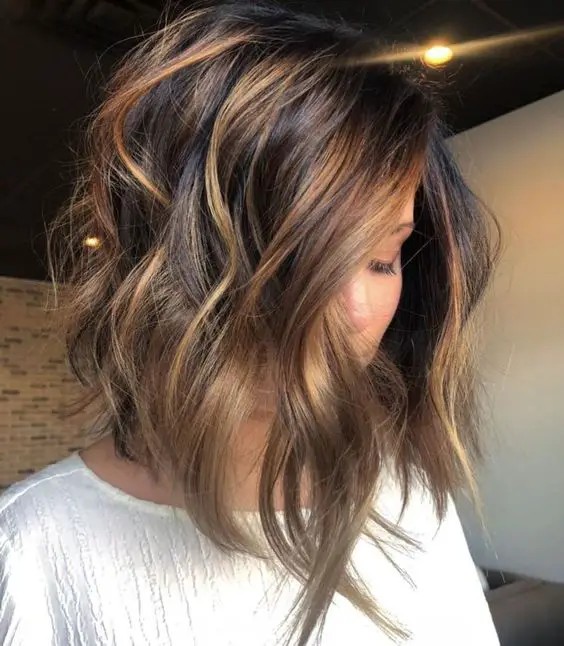 Chestnut Highlights