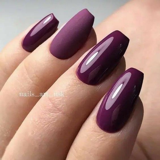 Plum Elegance: