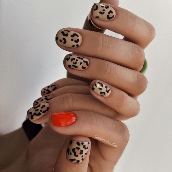 Bold Animal Prints