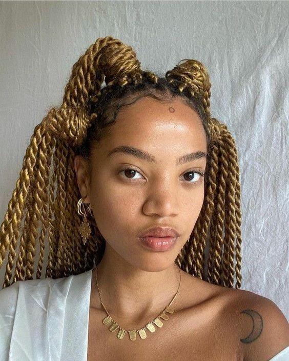 Picturesque Twist Braids Styles