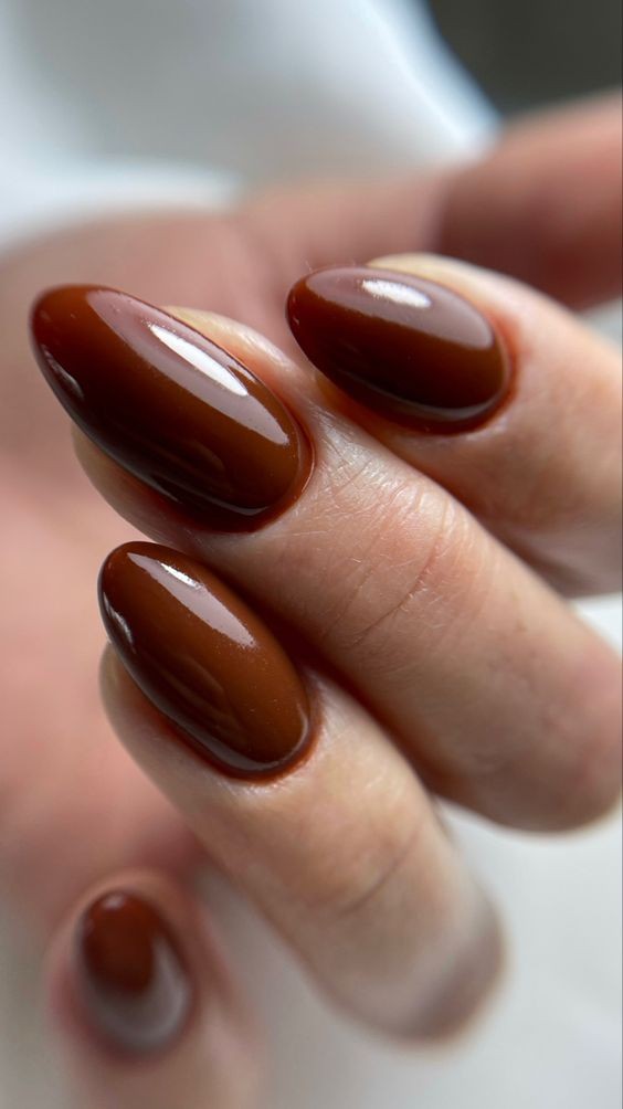 Glossy Chestnut Charm