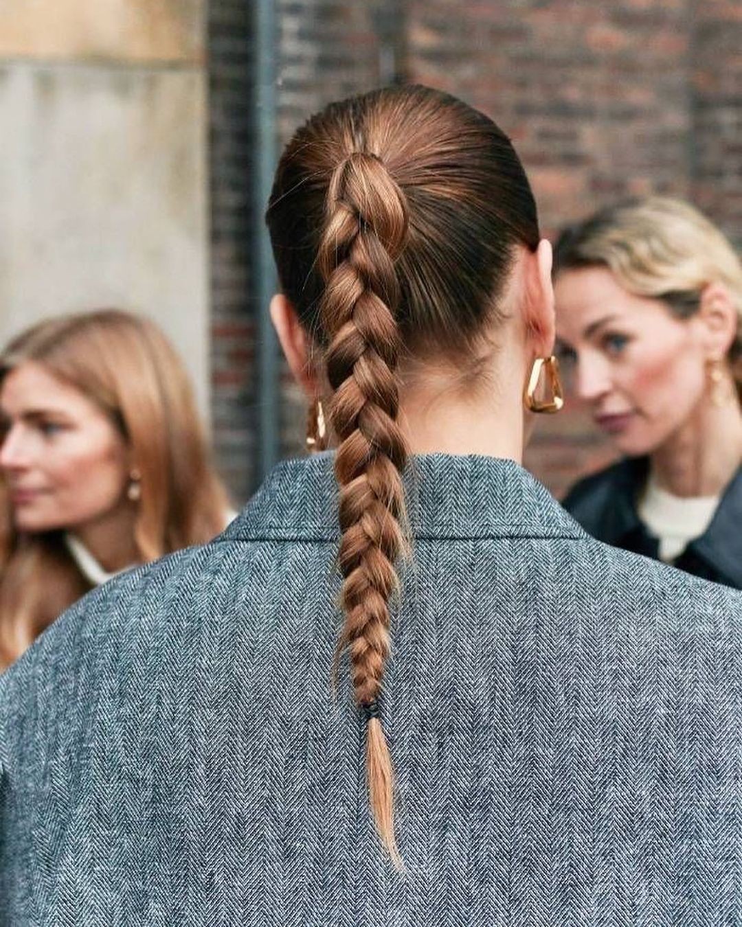 Sleek and Structured Fishtail Braid