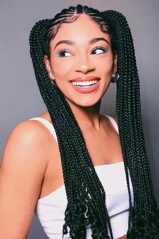 Double Box Braids Ponytail