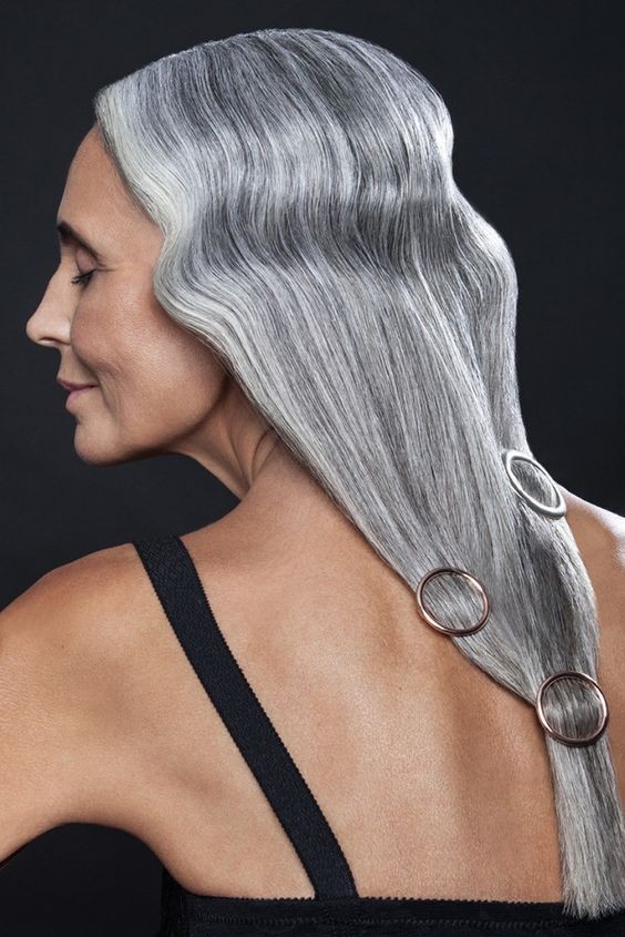 The Long Silver Mane: Elegance Unbound