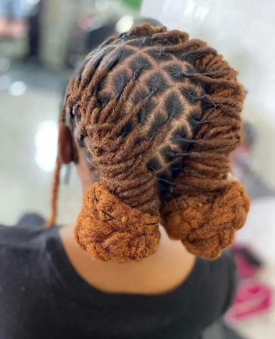 Double Locs Ponytail