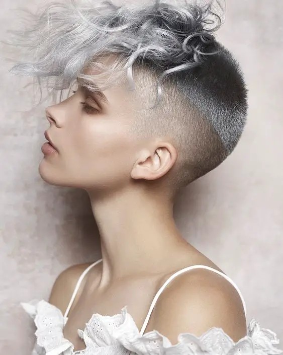 The Silver Storm Mohawk