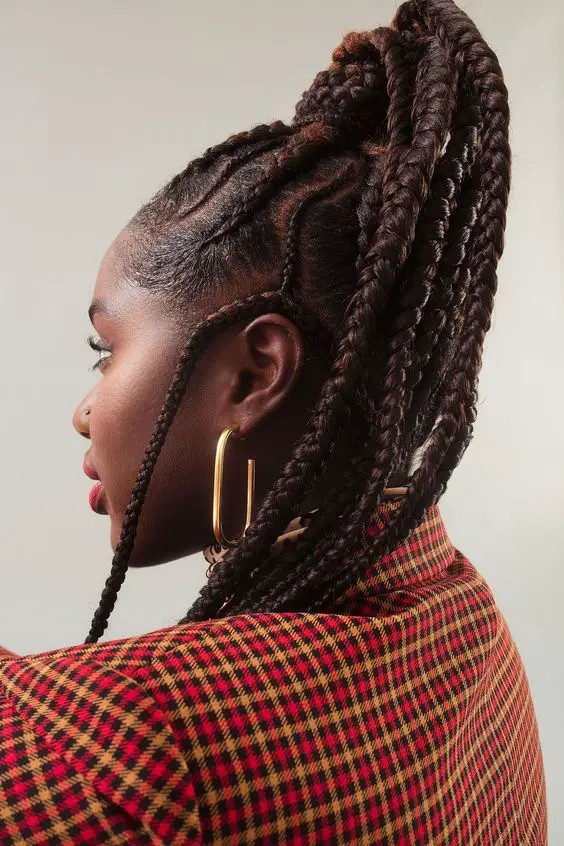 Curly Braided Ponytail