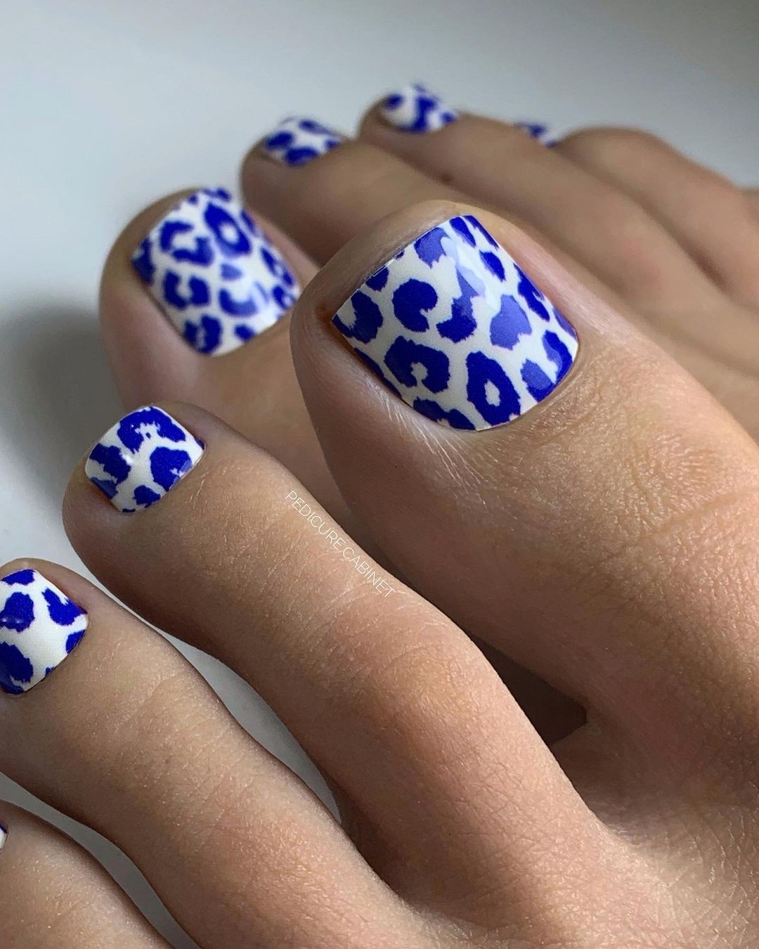 Blue Leopard Chic