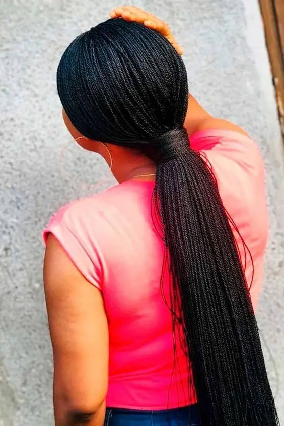 Classic Micro Braids Ponytail