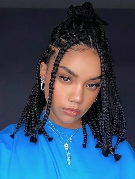 Half-Up Half-Down Box Braids Ponytail