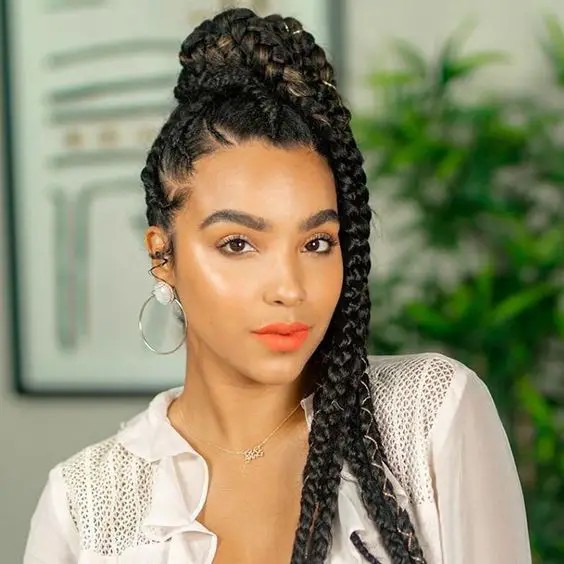 Wrapped Braid Afro Ponytail