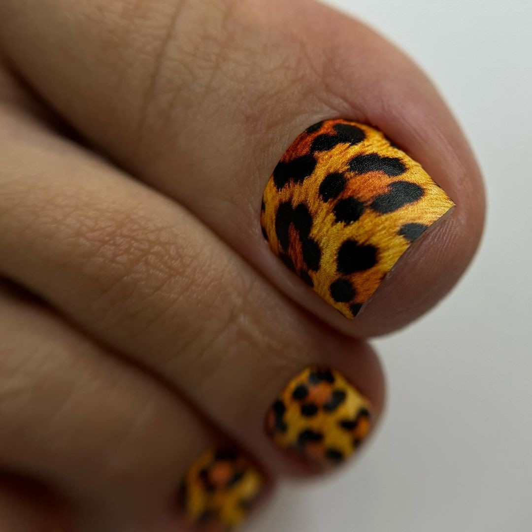 The Fierce Flair of Leopard Spots