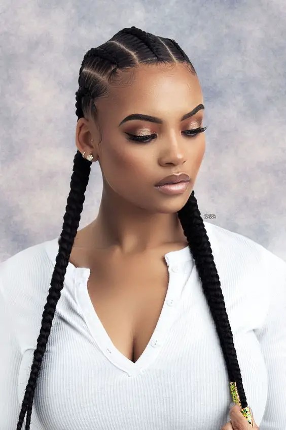 Black Excellence: Two Braids for Black Hair