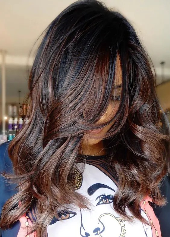 Chestnut Brown with Copper Highlights