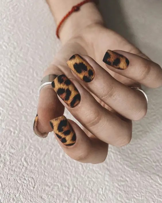 Animal Print Accents: