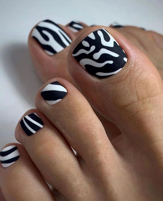 Zebra Zen