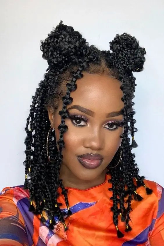 Box Braids Space Bun Pigtails: