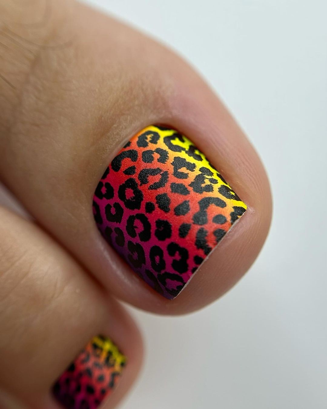 A Colorful Roar: Leopard Print with a Summer Twist