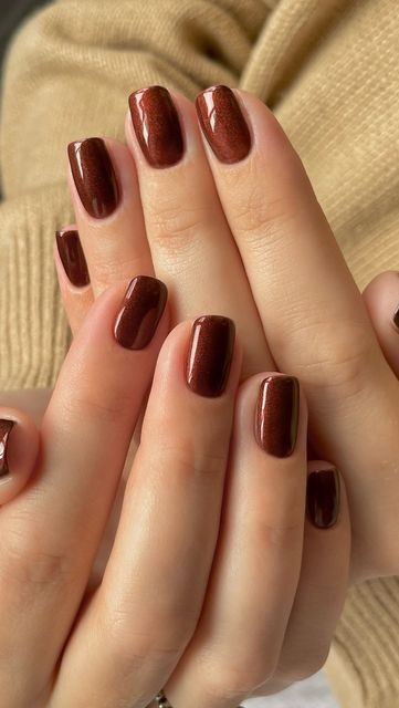 Chocolate Brown