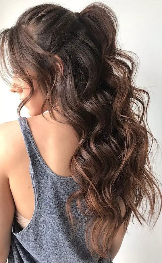 Half-Up Half-Down Hairstyle