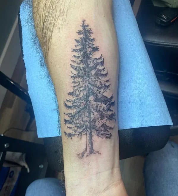 Pine Tree Forearm Tattoo