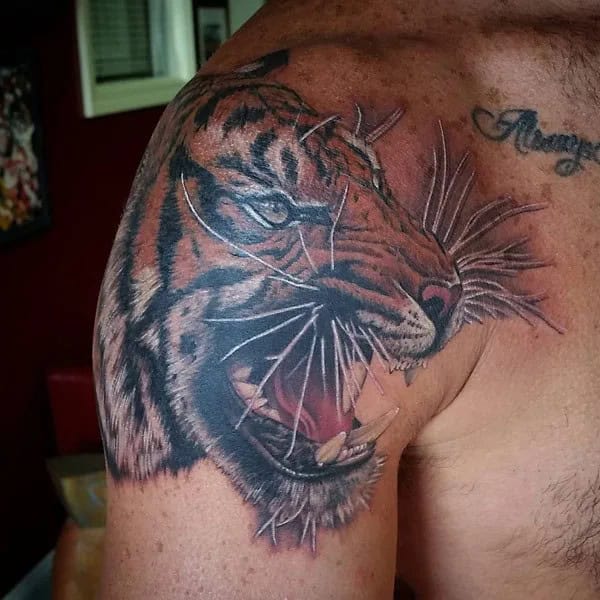 Tiger Shoulder Tattoo