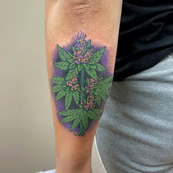 Weed Plant Tattoo