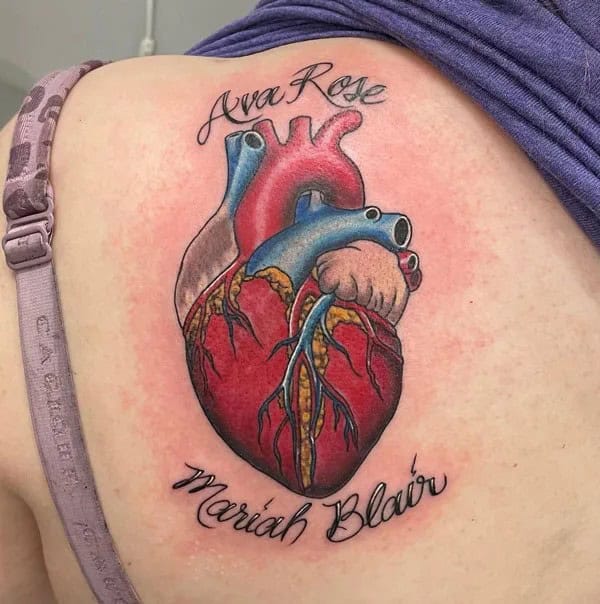 Anatomical Heart Tattoo On Chest