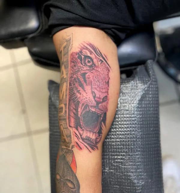 Tiger Bicep Tattoo