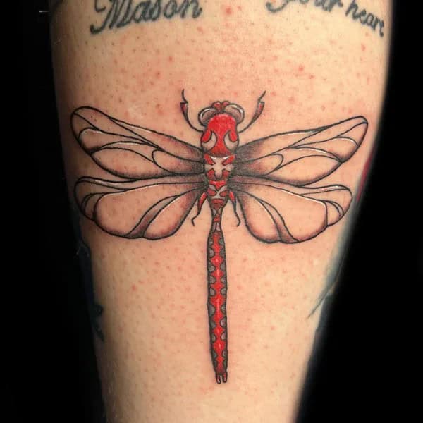 More Sublime Entries Of Dragonfly Tattoos