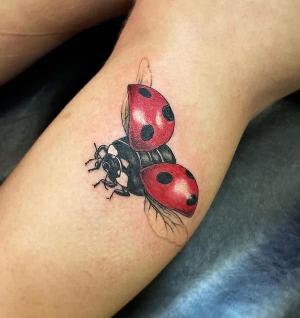 Flying Ladybug Tattoo