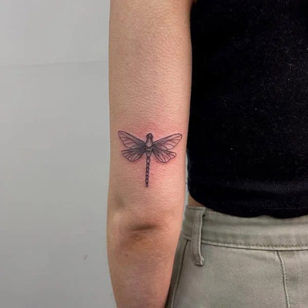 More Sublime Entries Of Dragonfly Tattoos