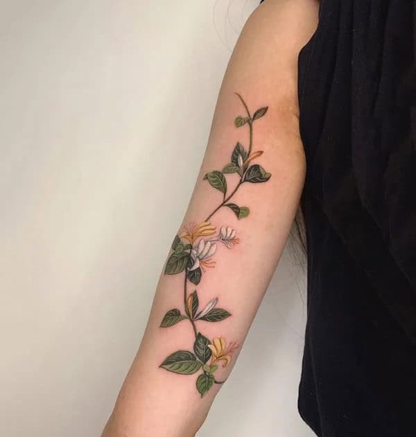 Honeysuckle Vine Tattoo