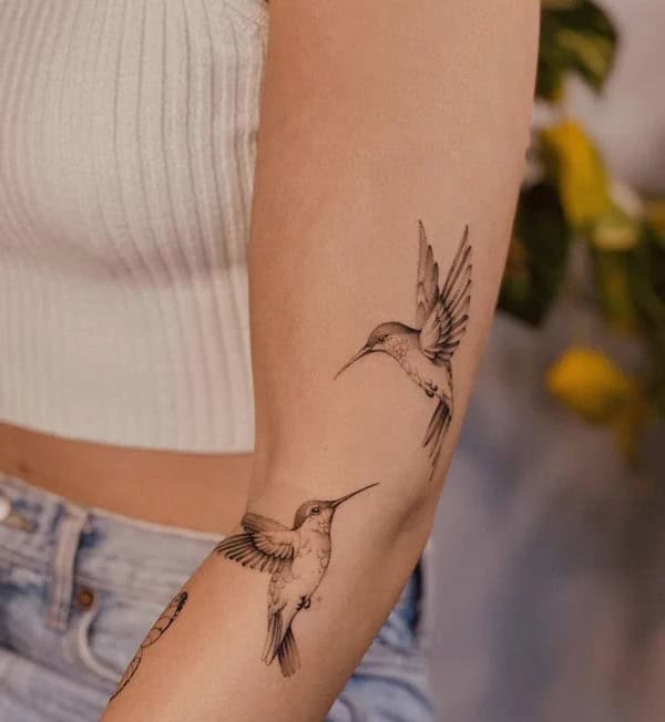 Two Hummingbird Tattoo