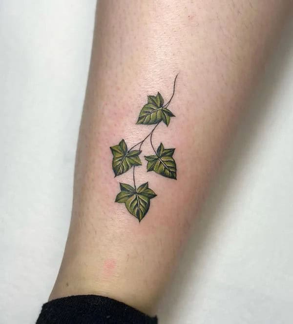 Ivy Vine Tattoo