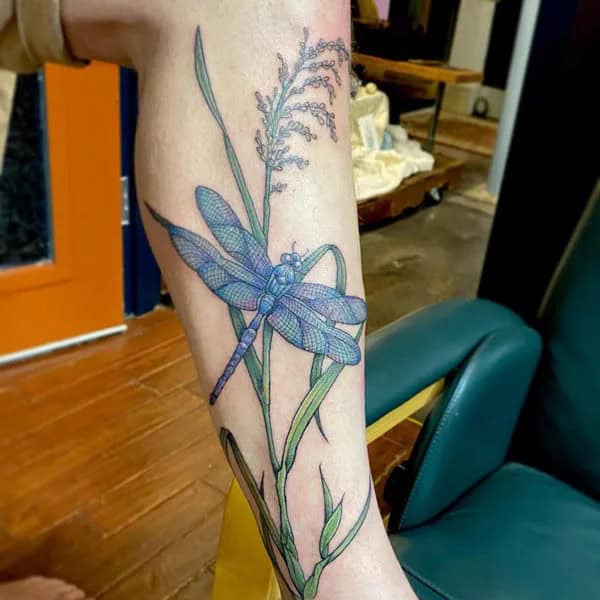 More Sublime Entries Of Dragonfly Tattoos