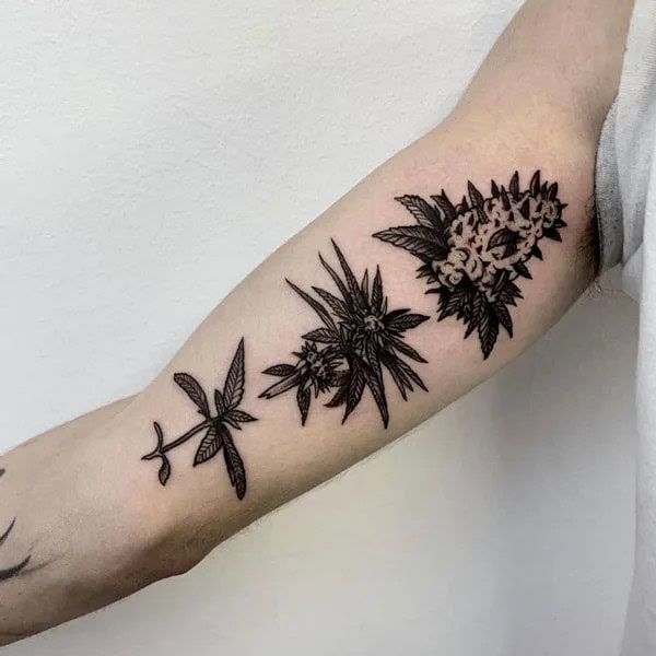 Weed Plant Tattoo