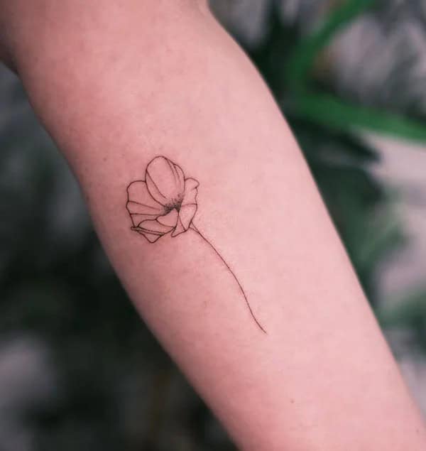 Poppy Flower Outline Tattoo