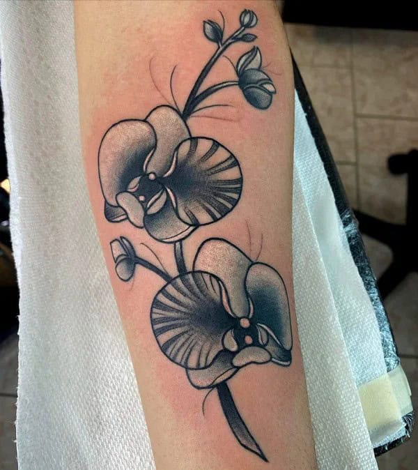 Black Orchid Tattoo