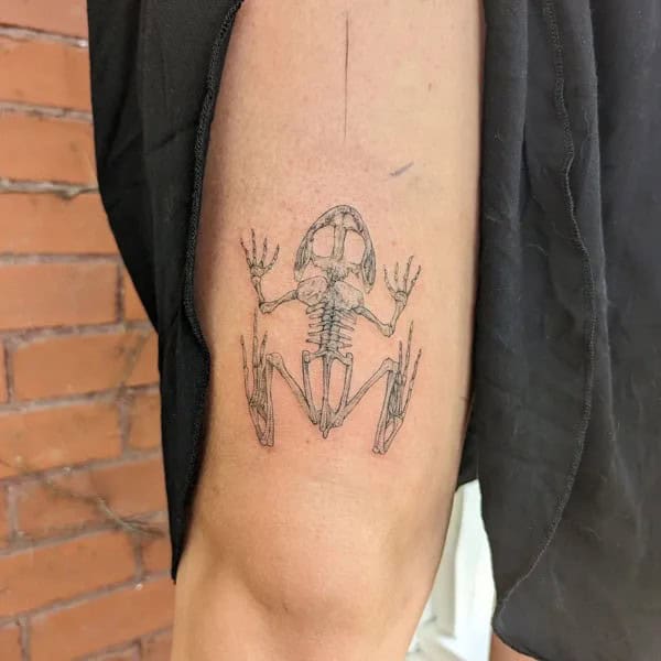 Frog Skeleton Tattoo