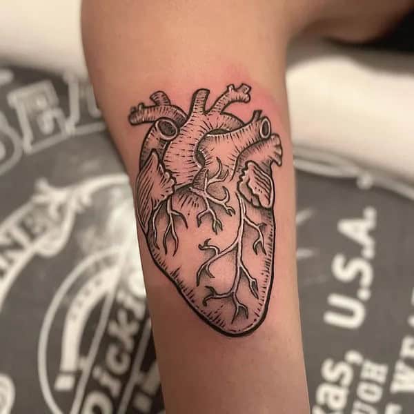 Anatomical Heart Tattoo On Chest