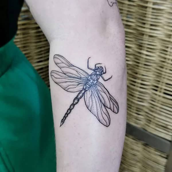 More Sublime Entries Of Dragonfly Tattoos