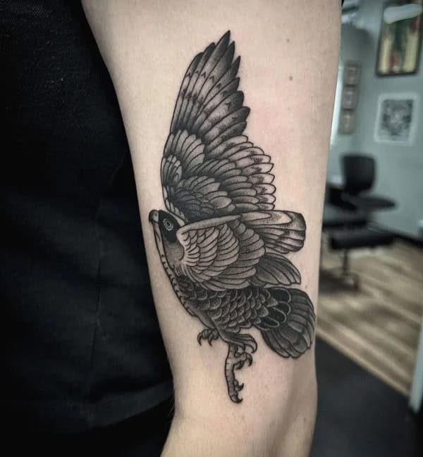 Sparrow Hawk Tattoo