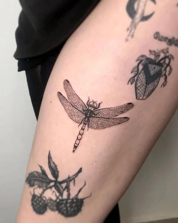 More Sublime Entries Of Dragonfly Tattoos