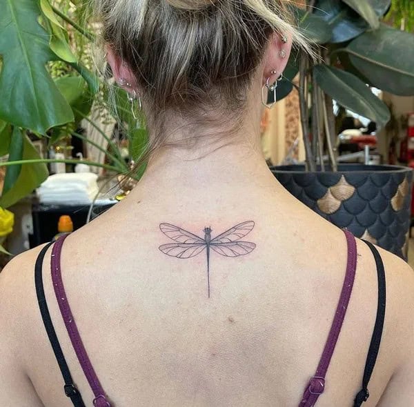 More Sublime Entries Of Dragonfly Tattoos